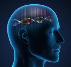 110811215420_1_900x600